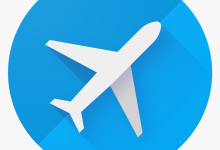 Logo Google Fligths 2